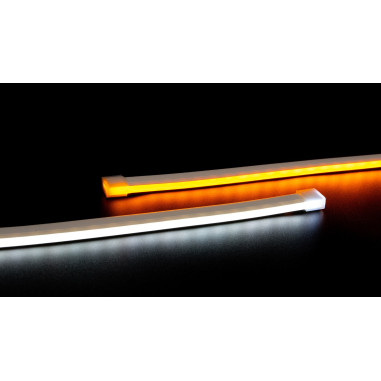 LUCE BURCH DOPPIA COLORE SCANIA NEXT GEN