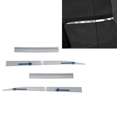 Voor DAF NGD XF XG XG+ ROESTVRIJ ZIJDECOR
