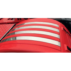 MOLDURAS DE PASOS DE RUEDA TRASEROS SCANIA R 10-18... 2