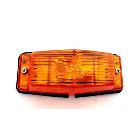 DVOSTRUKI PLAMENIK, DVIJE ŽARULJE, NARANČASTI ZNAKOVI ZA RAZVOJ