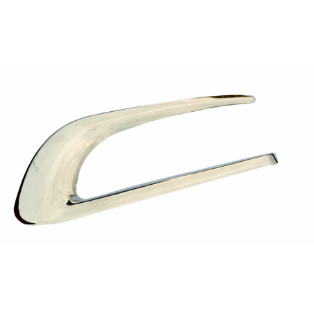 SCANIA R ROESTVRIJ ROESTVRIJ NIERENDEKSEL GRILL 3D