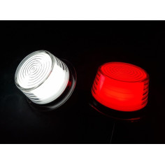 WIT RODE NEON LED-MODULE VOOR DEENSE OMTREKSELS 2