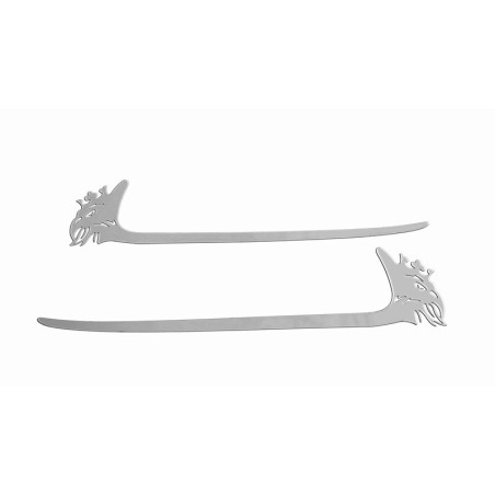 SCANIA R STÖTFÅNGARE ROSTFRITT STÅL DEKOR