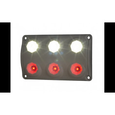 Red + white LED truck interior light